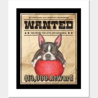 Funny Cute Boston Terrier Wanted Poster Posters and Art